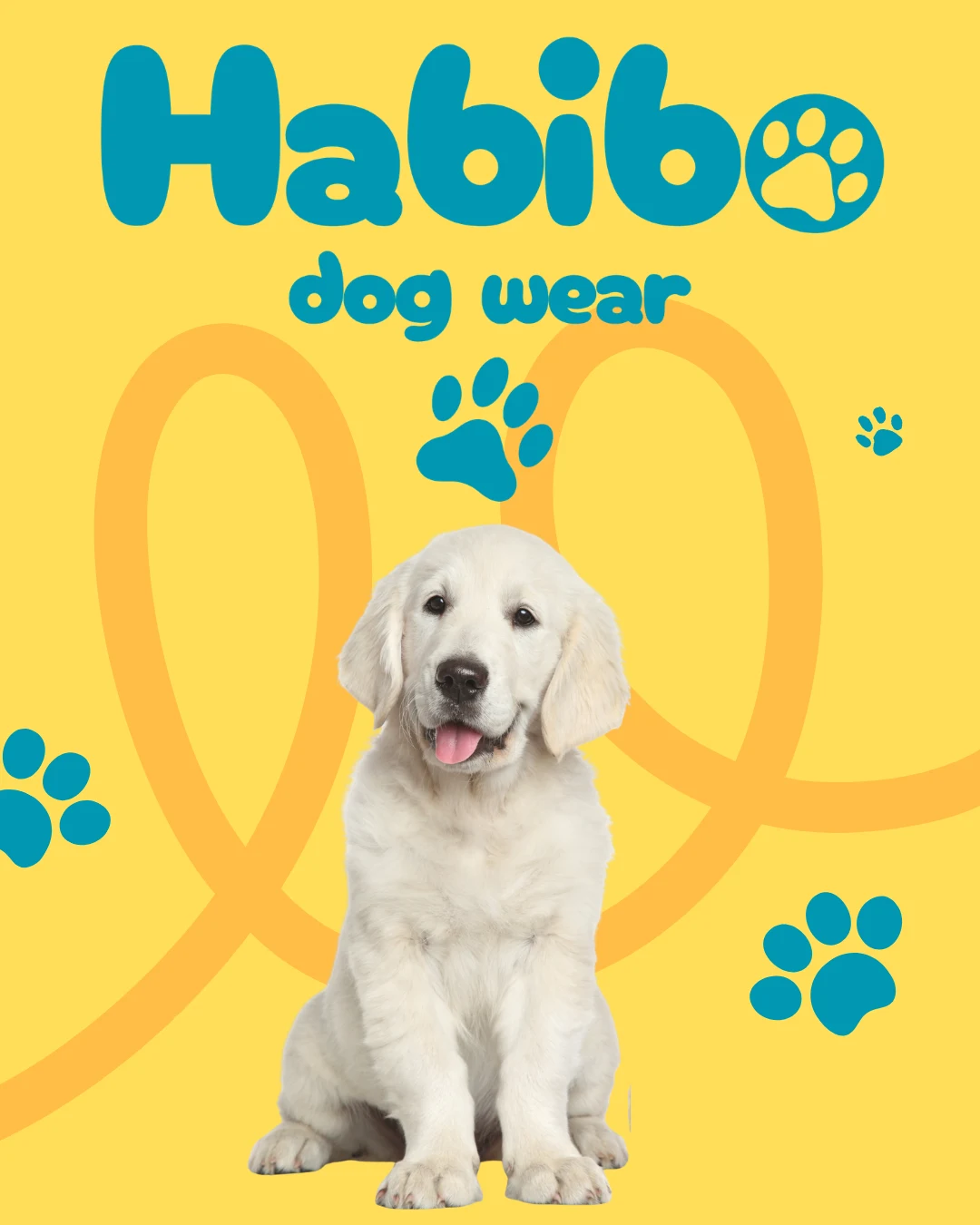 Habibo Dog Wear, 100 sledujících